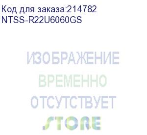 купить 19 напольный шкаф премиум 22u 600х600 мм, передняя дверь стекло, регулируемые опоры, ral 7035 (ntss-r22u6060gs)