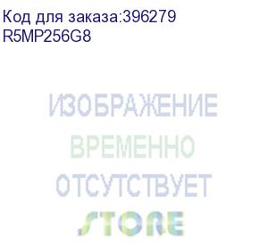 купить твердотельный диск 256gb amd radeon r5 client m.2, nvme 3d tlc (r/w - 1900/900 mb/s) (r5mp256g8)