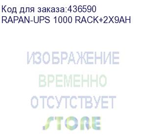 купить источник бесперебойного питания (8958) бастион rapan-ups 1000 rack+2x9ah 1000ва/700вт rack 2u/line-interactive/акб 9ачх2/220в/8хс13/1,5 л.г (rapan-ups 1000 rack+2x9ah)