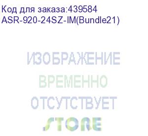 купить маршрутизатор/ asr-920-24sz-im with factory upgrades (cisco) asr-920-24sz-im(bundle21)