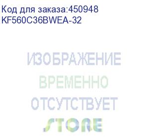 купить kf560c36bwea-32 (модуль памяти ddr5 dimm 32гб 6000mhz cl36, kingston fury beast white expo rgb)