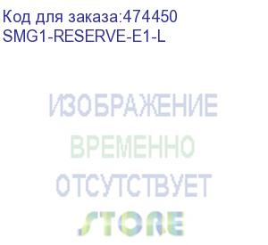 купить неисключительная лицензия smg1-reserve-e1-l для активации резервирования по e1 на платформе smg-1016m