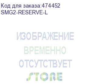 купить неисключительная лицензия smg2-reserve-l для активации резервирования по ip в режиме master-slave на платформе smg-2016