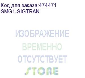 купить опция smg1-sigtran для активации протоколов sigtran (m2ua, iua), h.248 и mgcp в оборудовании smg-1016m