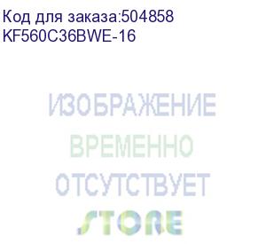 купить оперативная память kingston fury beast white expo kf560c36bwe-16 ddr5 - 1x 16гб 6000мгц, dimm, white, ret (kingston)