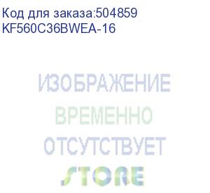 купить оперативная память kingston fury beast white expo kf560c36bwea-16 ddr5 - 1x 16гб 6000мгц, dimm, white, ret (kingston)