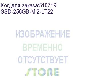 купить cbr ssd-256gb-m.2-lt22, внутренний ssd-накопитель, серия lite , 256 gb, m.2 2280, pcie 3.0 x4, nvme 1.3, sm2263xt, 3d tlc nand, r/w speed up to 2000/1300 mb/s, tbw (tb) 128