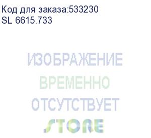 купить шкаф коммутационный sysmatrix (sl 6615.733) напольный 15u 600x600мм пер.дв.перфор. задн.дв.перфор. 800кг серый 450мм 37кг 800мм ip20 металл sysmatrix