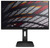 Монитор AOC 24P1 LCD 23.8 (16:9) 1920х1080(FHD) IPS, nonGLARE, 250cd/m2, H178°/V178°, 1000:1, 50М:1, 16.7M Color, 5ms, VGA, DVI, HDMI, DP, USB-Hub, Height adj, Pivot, Tilt, Speakers, Audio out, Black (AOC) 24P1