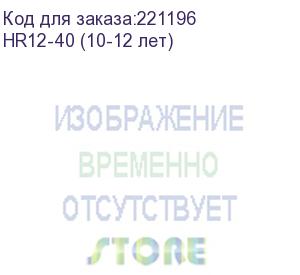 купить аккумуляторная батарея delta (hr12-40 (10-12 лет))