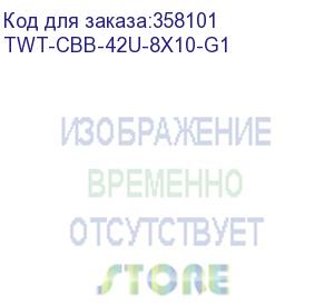 купить шкаф серверный lanmaster (twt-cbb-42u-8x10-g1) напольный 42u 800x1000мм пер.дв.стекл задн.дв.двуст. 2 бок.пан. 800кг черный ip20 lanmaster