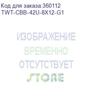 купить шкаф 19 business, 42u 800x1200, черный, передняя дверь стекло, задняя дверь распашная металл (twt-cbb-42u-8x12-g1)