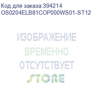 купить лицензия на право установки и использования операционной системы специального назначения astra linux special edition для эвм на базе процессорной архитектуры эльбрус , для аппаратных платформ эльбрус-8с, эльбрус-1с, русб.10015-16 (фсб), для рабочей станци