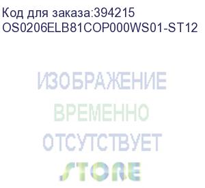 купить лицензия на право установки и использования операционной системы специального назначения astra linux special edition для эвм на базе процессорной архитектуры эльбрус , для аппаратных платформ эльбрус-8с, эльбрус-1с, русб.10265-01 (фстэк), для рабочей стан