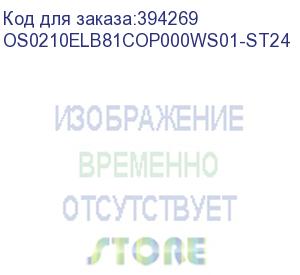 купить лицензия на право установки и использования операционной системы специального назначения astra linux special edition для эвм на базе процессорной архитектуры эльбрус , для аппаратных платформ эльбрус-8с, эльбрус-1с, русб.10265-01 (мо), для рабочей станции