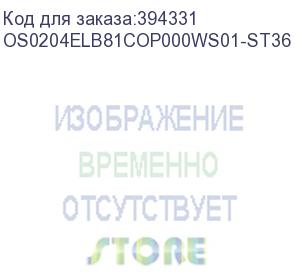 купить лицензия на право установки и использования операционной системы специального назначения astra linux special edition для эвм на базе процессорной архитектуры эльбрус , для аппаратных платформ эльбрус-8с, эльбрус-1с, русб.10015-16 (фсб), для рабочей станци