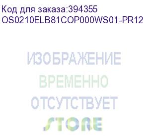 купить лицензия на право установки и использования операционной системы специального назначения astra linux special edition для эвм на базе процессорной архитектуры эльбрус , для аппаратных платформ эльбрус-8с, эльбрус-1с, русб.10265-01 (мо), для рабочей станции