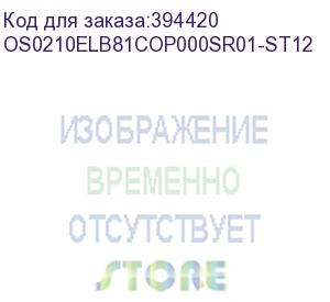 купить лицензия на право установки и использования операционной системы специального назначения astra linux special edition для эвм на базе процессорной архитектуры эльбрус , для аппаратных платформ эльбрус-8с, эльбрус-1с, русб.10265-01 (мо), для сервера, без ог