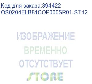 купить лицензия на право установки и использования операционной системы специального назначения astra linux special edition для эвм на базе процессорной архитектуры эльбрус , для аппаратных платформ эльбрус-8с, эльбрус-1с, русб.10015-16 (фсб), для сервера, без о