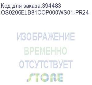 купить лицензия на право установки и использования операционной системы специального назначения astra linux special edition для эвм на базе процессорной архитектуры эльбрус , для аппаратных платформ эльбрус-8с, эльбрус-1с, русб.10265-01 (фстэк), для рабочей стан