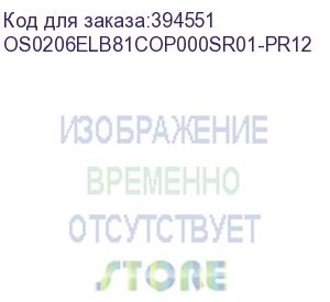 купить лицензия на право установки и использования операционной системы специального назначения astra linux special edition для эвм на базе процессорной архитектуры эльбрус , для аппаратных платформ эльбрус-8с, эльбрус-1с, русб.10265-01 (фстэк), для сервера, без