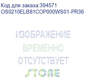 купить лицензия на право установки и использования операционной системы специального назначения astra linux special edition для эвм на базе процессорной архитектуры эльбрус , для аппаратных платформ эльбрус-8с, эльбрус-1с, русб.10265-01 (мо), для рабочей станции