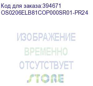 купить лицензия на право установки и использования операционной системы специального назначения astra linux special edition для эвм на базе процессорной архитектуры эльбрус , для аппаратных платформ эльбрус-8с, эльбрус-1с, русб.10265-01 (фстэк), для сервера, без