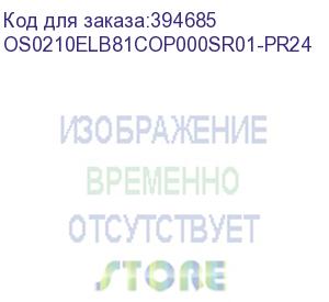 купить лицензия на право установки и использования операционной системы специального назначения astra linux special edition для эвм на базе процессорной архитектуры эльбрус , для аппаратных платформ эльбрус-8с, эльбрус-1с, русб.10265-01 (мо), для сервера, без ог