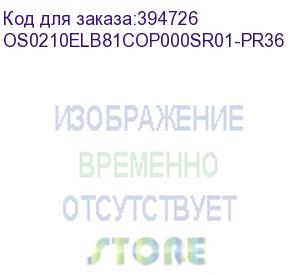 купить лицензия на право установки и использования операционной системы специального назначения astra linux special edition для эвм на базе процессорной архитектуры эльбрус , для аппаратных платформ эльбрус-8с, эльбрус-1с, русб.10265-01 (мо), для сервера, без ог