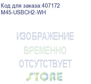 купить hyperline m45-usbch2-wh модуль розетки usb для зарядки, 2 порта, 2м, 2.1а, 5в, 45x45мм, белый (hyperline)