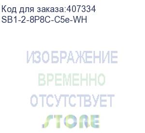 купить hyperline sb1-2-8p8c-c5e-wh розетка компьютерная rj-45(8p8c), категория 5e, двойная, внешняя, dual idc (hyperline)