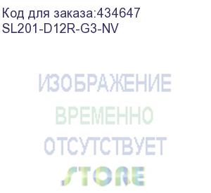 купить серверная платформа 2u sl201-d12r-g3-nv gooxi