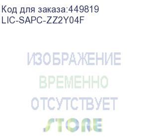 купить электронный ключ для активации по/ подписка zyxel на сервис secure wi-fi (зашифрованное туннелирование ap и максимум точек доступа) сроком 2 года для usg flex 700 и vpn300 (zyxel) lic-sapc-zz2y04f