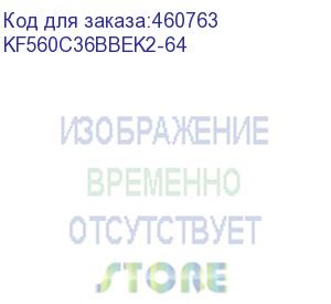 купить kf560c36bbek2-64 (комплект памяти ddr5 dimm 64гб (2х32гб) 6000mhz cl36, kingston fury beast black expo)