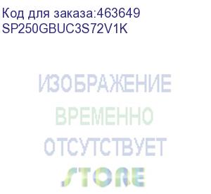 купить флеш накопитель 250gb silicon power ds72, usb 3.2/type-c, черный, read/write 1050/850mb/s (sp250gbuc3s72v1k)