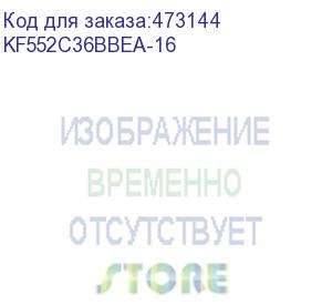 купить оперативная память kingston fury beast expo kf552c36bbea-16 ddr5 - 5200мгц, dimm, ret (kingston)