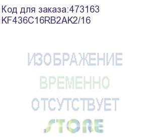 купить оперативная память kingston fury renegade kf436c16rb2ak2/16 ddr4 - 2x 8гб 3600мгц, dimm, ret (kingston)