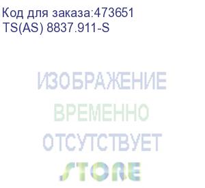 купить шкаф напольный 37u серия ts(as) (800х800х1833) , передняя дверь стекло, черный, разобранный netko (упакован в 2 коробки) (ts(as) 8837.911-s)