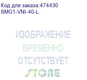 купить лицензия smg1-vni-40-l для расширения количества vlan-интерфейсов на цифровом шлюзе smg-1016m до 40