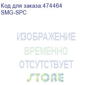 купить опция smg-spc для активации функционала полупостоянных соединений для цифровых шлюзов smg-2/smg-4