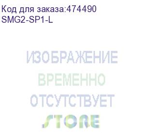 купить пакет атс+сорм из двух лицензий для одного цифрового шлюза smg-2016: 1xsmg2-pbx-3000 и smg2-sorm (smg2-sp1-l)