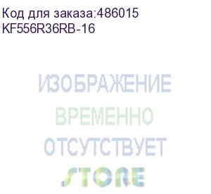 купить оперативная память kingston fury renegade pro black xmp ddr5 - 1x 16гб 5600мгц, dimm, ret (kingston) kf556r36rb-16