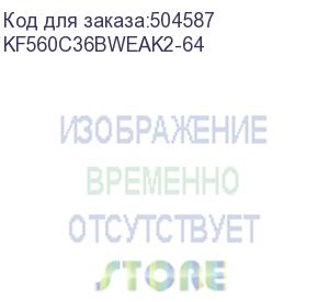 купить память ddr5 2x32gb 6000mhz kingston kf560c36bweak2-64 fury beast white expo rgb rtl gaming pc5-48000 cl36 dimm 288-pin 1.35в dual rank с радиатором ret kingston