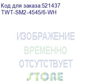 купить розетка lanmaster (twt-sm2-4545/6-wh) настен.rj45 2 кат.6 utp бел. (упак.:1шт) (lanmaster)