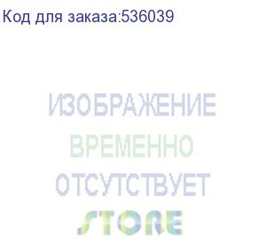 купить ноутбук echips argentum nr156g 15.6 , ips, intel n95 1.7ггц, 4-ядерный, 16гб ddr4, 512гб ssd, intel uhd graphics, windows 11 home, серый