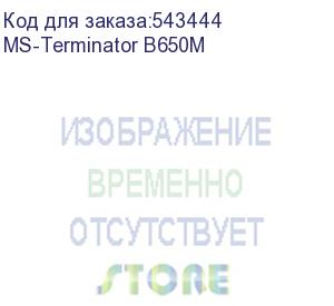 купить материнская плата maxsun ms-terminator b650m, am5, b650, 4*ddr5, 4*sata 3.0, 2*m.2, usb 3.2, usb 2.0, type-c, 1*pcie 16, 1*pcie 4, 1*pcie 1, hdmi+dp, matx