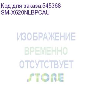 купить планшет samsung galaxy tab s10 fe+ sm-x620 1580 (2.9) 8c ram12gb rom256gb 13.1 tft 2880x1800 android 15 голубой 13mpix 12mpix bt wifi microsd 1tb 10090mah (sm-x620nlbpcau) samsung