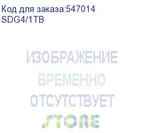 купить sdg4/1tb (карта памяти sdxc kingston canvas go plus g4 1tb, 200r v30)
