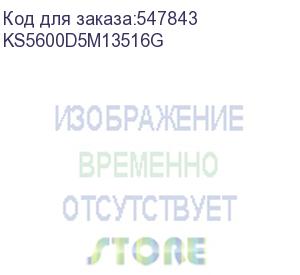 купить kingspec ddr5 - 1x 16гб 5600мгц, dimm, ret ks5600d5m13516g