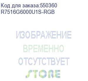 купить модуль памяти amd radeon 16gb ddrs 6000 long dimm r7516g6000u1s-rgb 1.1v heat shield rgb